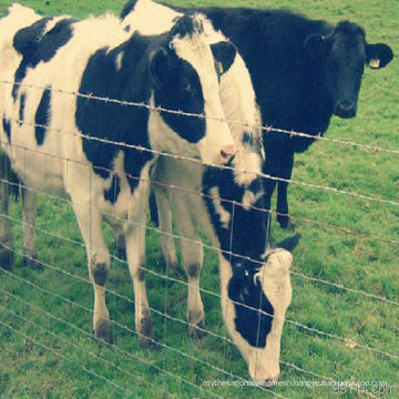 Electric Galvanized Metal Farm Fence